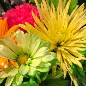 Meet your Posher, Lori